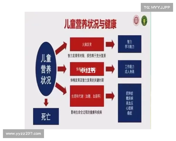 全面洞察澳洲杯赛事水平的核心评估要素与关键影响因素深度解析指南 全面洞察澳洲杯赛事水平的核心评估要素与关键影响因素深度解析指南